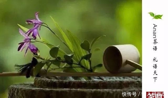 喝茶不能太“过”,这些“坑”老茶客也会中招!