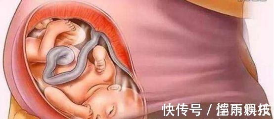 怀胎|宝宝是怎么被慢慢孕育出来的,十张过程图,一切来之不易