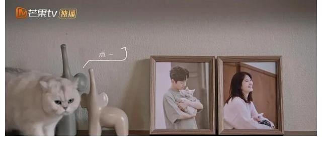 《朋友请听好》温暖回归，井柏然搞笑加盟，贵公子形象崩塌