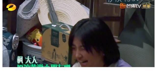 黃渤壞叔叔實(shí)錘，何炅和黃磊捧在心尖的張子楓，被黃渤嚇出表情包