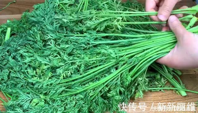 胡萝卜缨|夏天,用它包饺子,又香又嫩,不花1分钱,比韭菜茴香都好吃