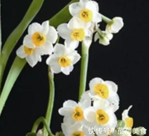 10大漂亮花,值得冬天养一盆,好养易开花,盆盆爆花