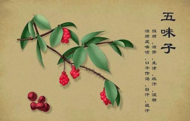 總說(shuō)五味雖小，但五臟俱全，你知道五味究竟是什么嗎？