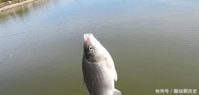 七星漂钓鱼有何优势?了解这些过后,你会对七星漂有一个新的认识
