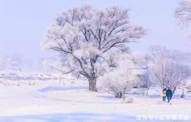 风时的雪花|雪后的中华大地，美哭了世界！