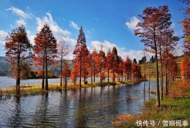 谈心|朋友牢骚满腹,伟人毛泽东写诗谈心劝导,一首传世名篇横空出世