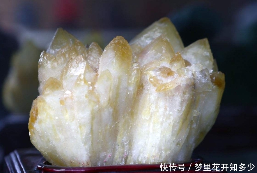 大开眼界|最昂贵的“石头”,1克居然可以卖2亿?看完大开眼界!