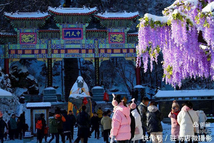 老君山：追梦你的白雪，你却馈赠天宫云海