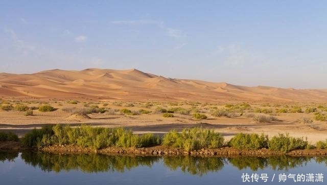  穆斯林为什么不吃猪肉? 原来是在中东形成的