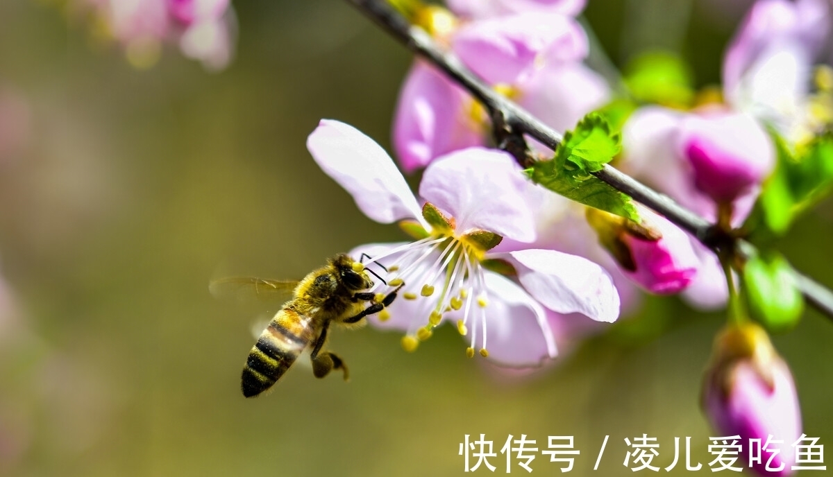 慨叹$芳草有情皆碍马，好云无处不遮楼——罗隐笔下的人生慨叹