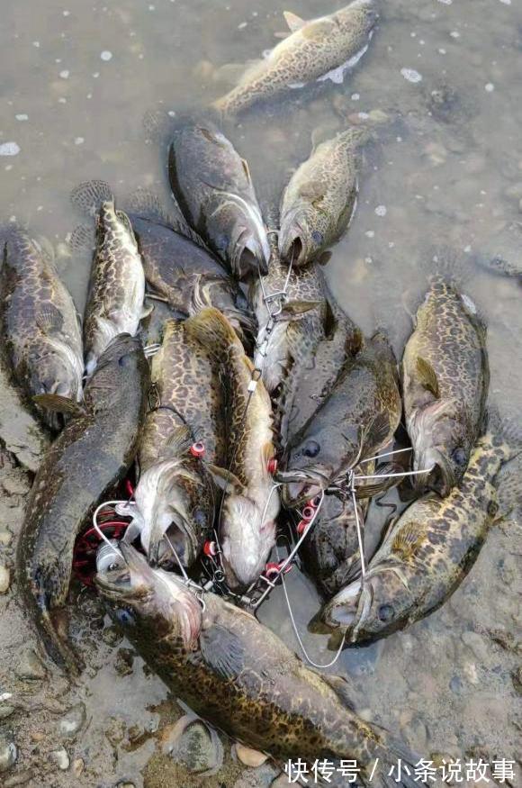 千岛湖钓友拍到一大车鱼竿被运去销毁,钓友至少价值几十万