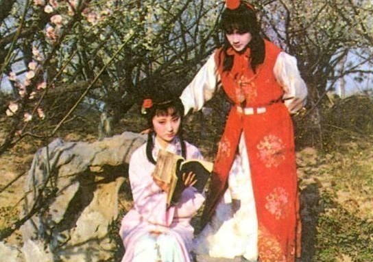 贾宝玉#林黛玉一家四口死亡的真相,其实贾宝玉讲的故事已预示