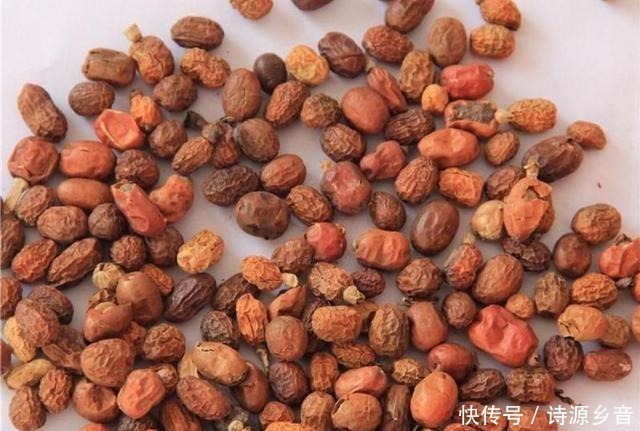 麻辣卤水|了解食材从这里开始,香料大全与用途,美食爱好者首选