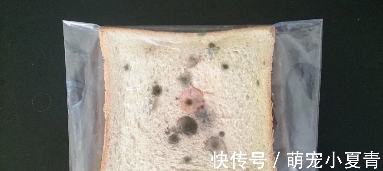 胃癌|这4种家常菜,再爱吃也要忍住!多吃一口,患癌的可能性就更大