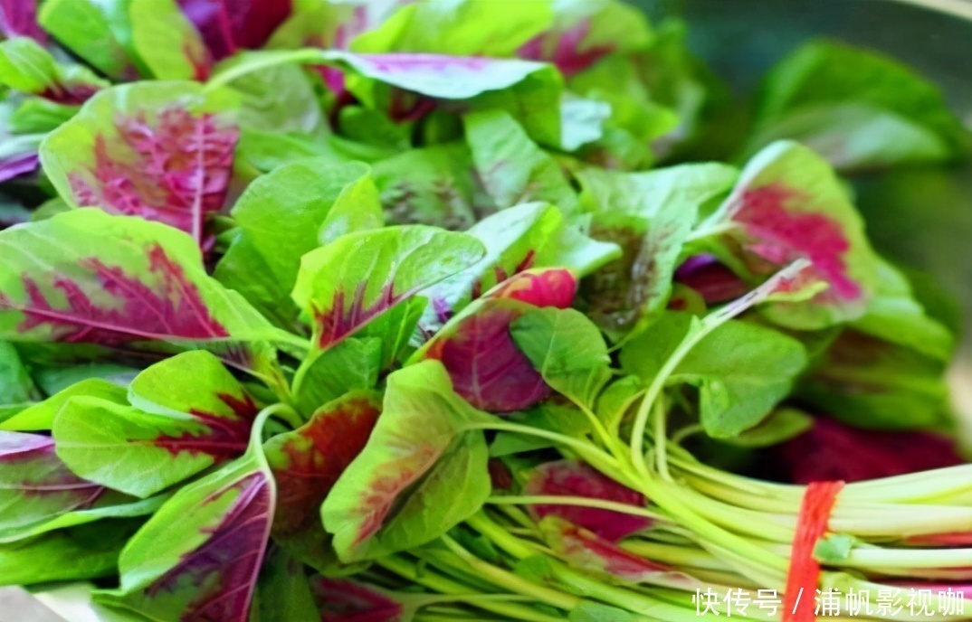 聪明人爱吃3种食物,美容养生、延缓衰老,身体棒棒哒!