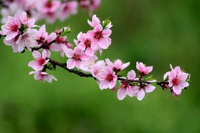 雨中花慢|《雨中花慢》13首:袖带迎风，凤目出神，任由黄叶缤纷