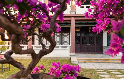 讨人喜爱的三角梅，越冬养护时需要多注意，环境温度不可小视