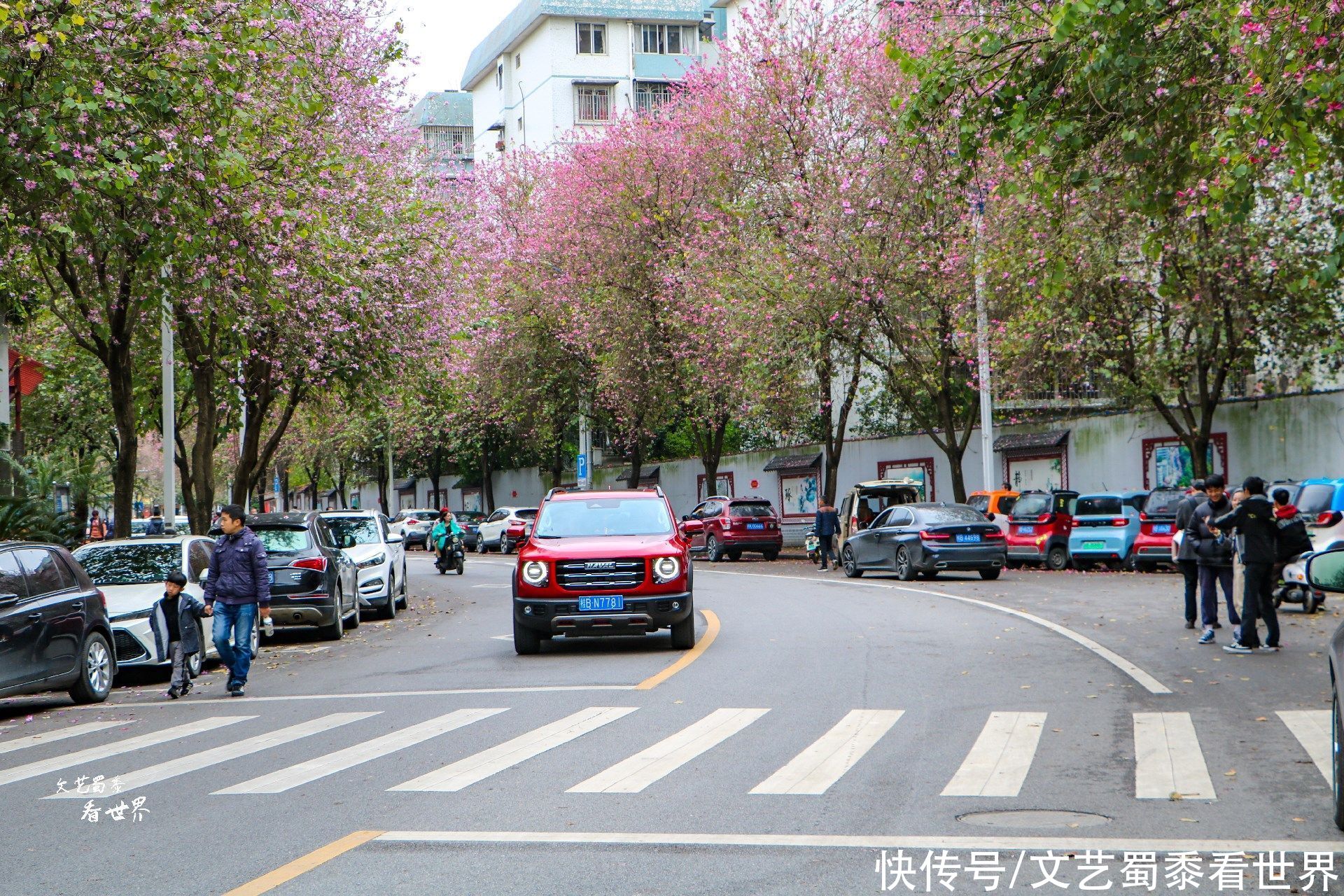 东北老铁过冬养老不用都往北海挤，广西这两座城市，物价低环境好