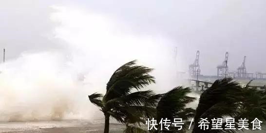 暴雨|暴风雨的感受！