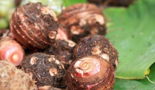 教你5个小妙招，挑选优质软糯芋头，爱吃芋头的朋友一定要学学！