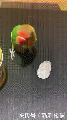 男生|“什么身高的男生最受欢迎?160以下没有姓名?”哈哈哈哈哈哈