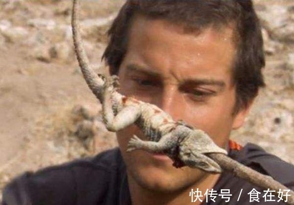 食物链|“食物链顶端”的贝爷,为何消失了?