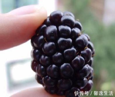 延缓机体衰老|想身体好,多吃以下食物,延缓机体衰老,皱纹不见了,气色好