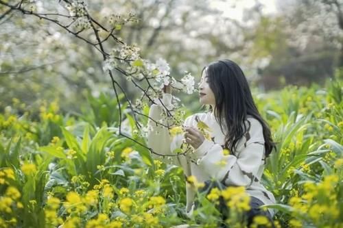 坐火车去看万亩梨花，美不胜收！