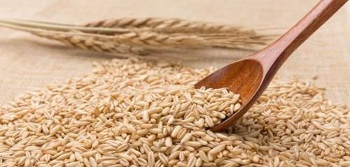 燕麦|女人35岁后，常吃6种食物，保持雌激素分泌平衡，预防子宫肌瘤