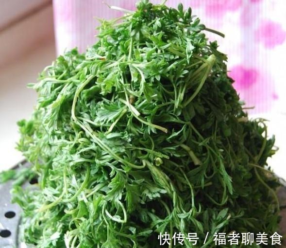 护肝菜|他是路边护肝菜,清爽可口,做法简单,保护肝脏,肝脏越来越健康