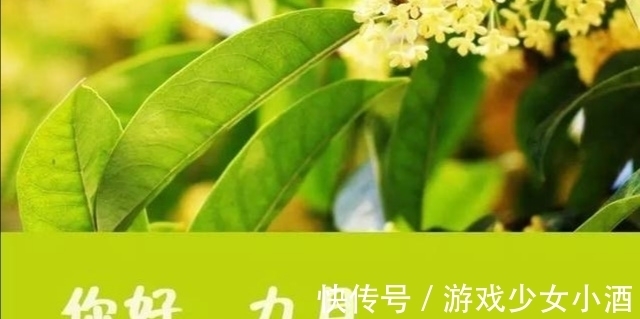 李康靖|秋高气爽的九月，一起到古诗词里登高望远，饮酒赏菊