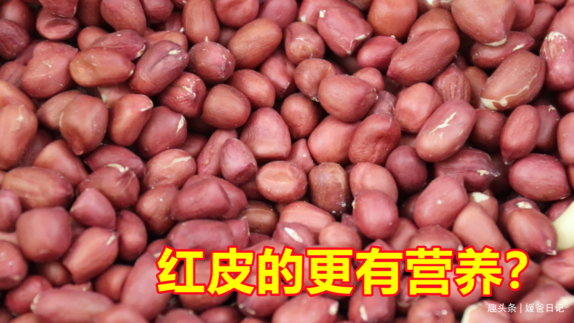 红皮花生米和白皮花生米，哪一个更有营养好多人不懂，长见识了