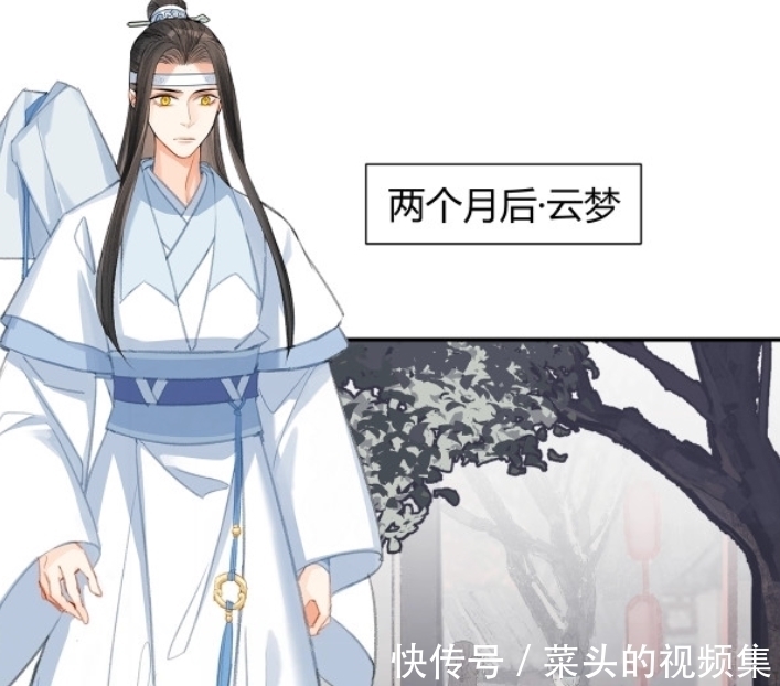 花仙子|《魔道祖师》漫画，魏无羡恶作剧，蓝忘机变“花仙子”