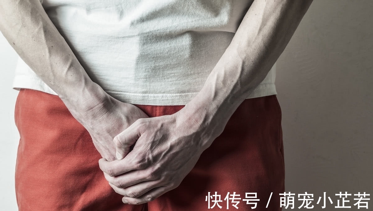 作息|吃一次相当于3斤鲍鱼,男性前列腺“加油站”出现!医生:可以多吃!