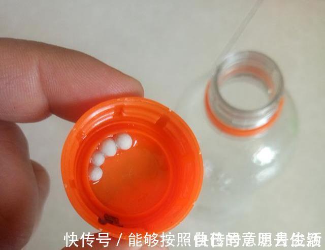 矿泉水瓶|绿萝最爱喝的5种水,喝完长得贼快,叶子像刷了“绿油漆”
