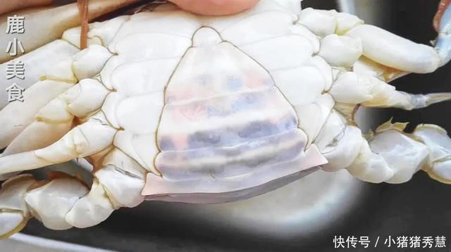  鱼贩|梭子蟹不会挑鱼贩教你挑蟹小技巧，保证新鲜肉肥，一挑一个准