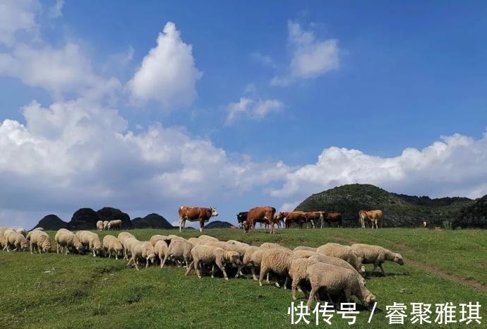 秘境|小众山水美如画！初秋贵州超人气秘境，带你开启梦幻之旅~