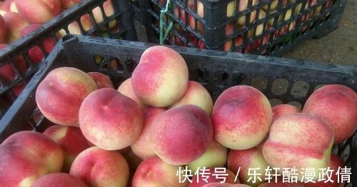 冷藏|你知道这个小技巧吗，食物不管放多久都不会坏，快快学起来吧