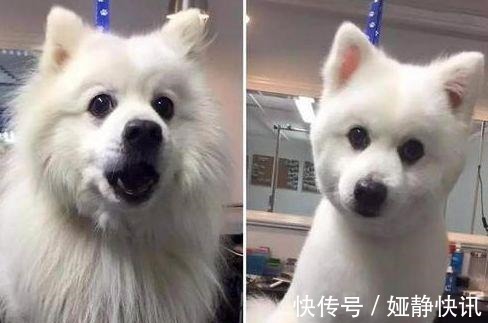 |搞笑GIF趣图:妹子怎么啦,想起学习,脑子就非常头疼