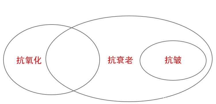 抗氧化、抗衰老、抗皱有什么区别?