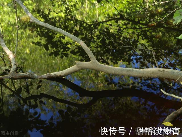 归隐$一首很有哲理的宋诗,每一句都有大智慧,告诉了世人很多的大道理