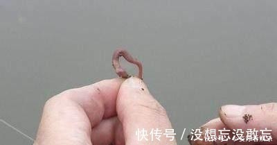 蚯蚓钓鱼还空军 三个绝技让你分分钟渔获翻倍