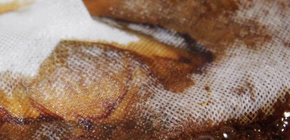 夏日，懂吃的都爱买这鱼，健脾开胃，益气助睡眠，比鲈鱼鲫鱼鲜美