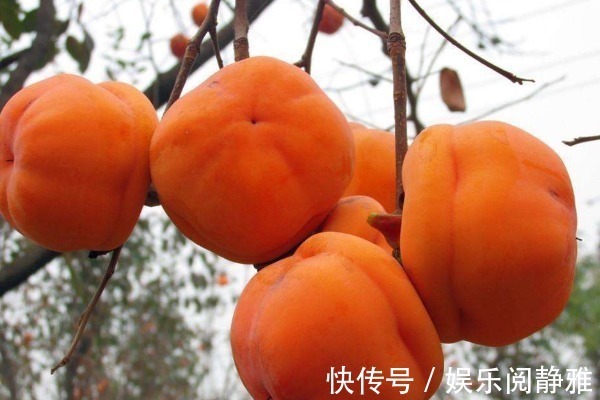 水果|果农从不碰的4种水果,早被拉进“黑名单”,却还有人吃到停不下