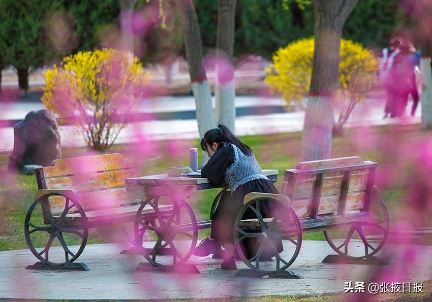 春天的河西学院，最美丽的风景处处都有视觉冲击