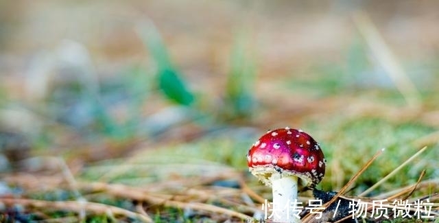 钱财|8月好运来、衰运走，钱财哗哗来，可算熬到头