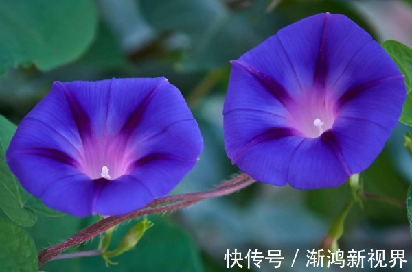 小技巧&俗话说言多必失,4句说话小技巧,让你从此福从口入、财从口出