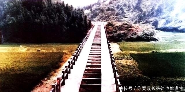 挖出|山上发现怪洞,挖出大量瓷器,专家200元征走,如今价值百万