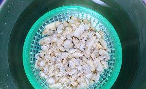 家常海鲜菜谱，爆炒葱香花甲肉，简单美味营养，吃不够，超级下饭