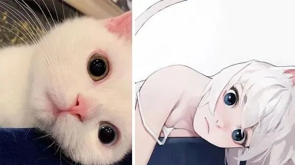 插画$插画师笔下的兽耳娘,有你喜欢的吗?